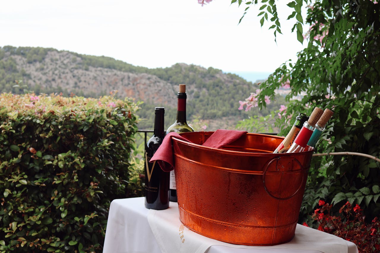 Enjoy a wine tasting with a stunning mountain backdrop in IB, Spain.